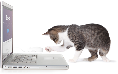 hello we are SuperWeb